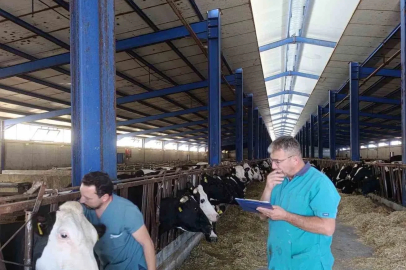 Karapınar’da hastalıktan ari işletmelerde tüberküloz taraması
