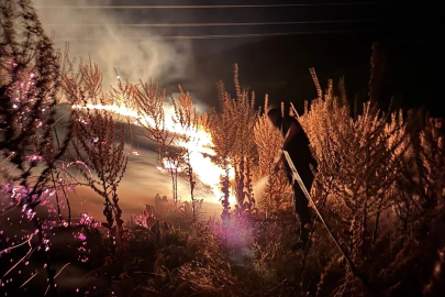 Yıldırım düşen makilik alan alevler içinde kaldı
