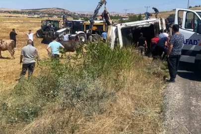 Boztepe’de hayvan yüklü tır yan yattı
