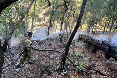 Gece başlayan yangın sabah saatlerinde kontrol altına alındı

