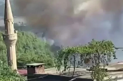 Adana’da orman yangını
