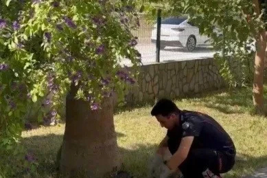 Havalandırma boşluğuna düşen 3 yavru kediyi itfaiye kurtardı
