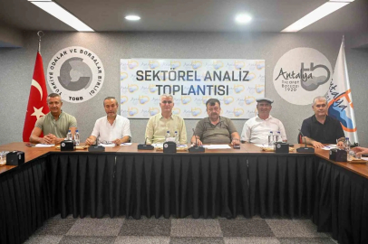 Zeytinde rekolte beklentisi yüzde 40 arttı
