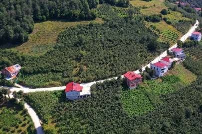 Ordu’da 35 yıllık yol sorunu çözüme kavuşturuldu
