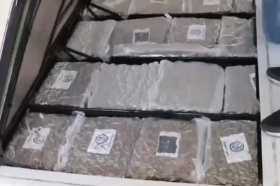 Gümrük Muhafaza ekiplerinden uyuşturucu kaçakçılığına darbe: 387 kilo skunk ele geçirildi
