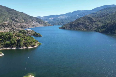 Çorum’da doğal güzellikleriyle ön plana çıkan ilçedeki ormanlar, yapay zeka ve uydu verileriyle korunacak

