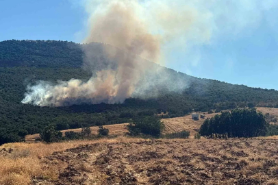 Mihalıççık’ta orman yangınına müdahale sürüyor
