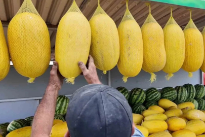 Bekledikçe güzelleşiyor, asıldıkça lezzetleniyor: Çorlu Seymen Kavunu
