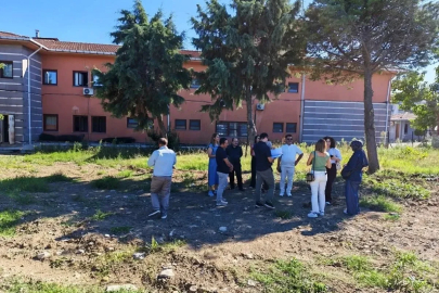 Sinop’ta kamu kreşi için saha çalışması başladı
