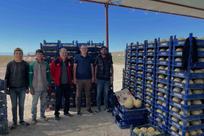 Bor’da domates ve kavun hasadı başladı
