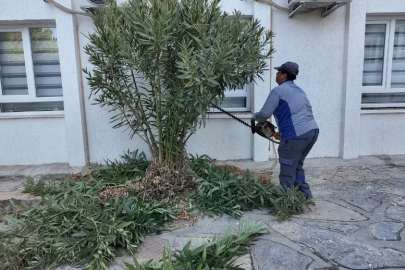 Bodrum Belediyesi’nden okullara bakım ve onarım desteği
