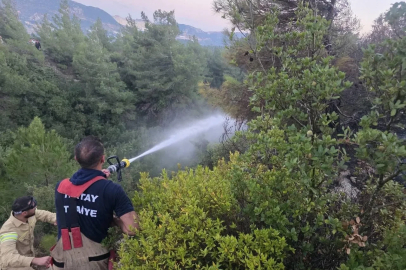 Hatay’da orman yangını çıktı
