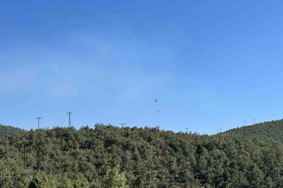 Uşak’ta meşelik alanda çıkan yangın kontrol altına alındı
