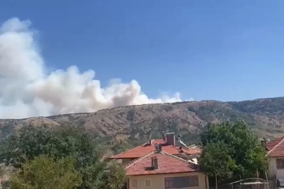 Ankara-Çankırı sınırında orman yangını
