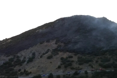 Konya’da ormanlık alanda yangın
