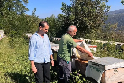 Yığılca’da arılı kovan tespit çalışması
