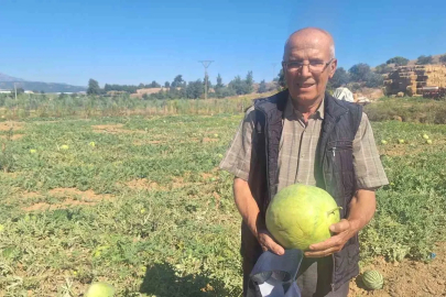Manisalı çiftçi dede mirası ata tohumu karpuz geleneğini sürdürüyor
