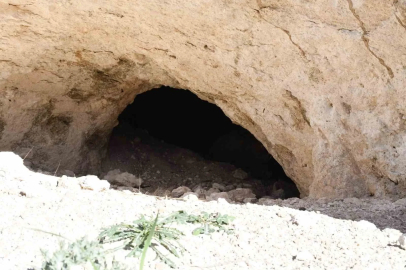 Pekmezin sırrı bu toprakta: Yozgat’tan Antalya’ya, Almanya’ya kadar gidiyor
