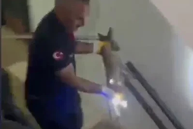 Osmaniye’de apartmanın 3’üncü katına çıkan tilki doğaya bırakıldı

