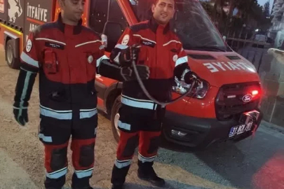 Antakya ve Reyhanlı’da yerleşim yerlerine giren yılanlar yakalandı
