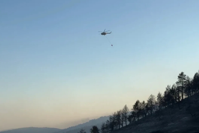 Ankara-Çankırı sınırındaki orman yangını 60 personel ve 14 aracın müdahalesiyle söndürüldü
