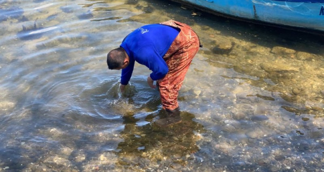 Bursa’da balıkçıların ağlarına ‘tarih’ takıldı
