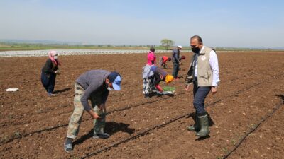 Mevsimlik tarım işçileri Bursa’da