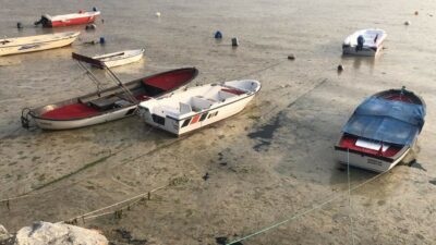 Bursa’da balıklar birer birer ölüyor