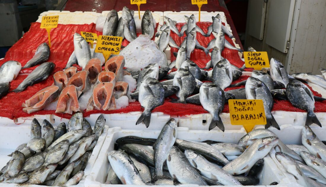 Balık fiyatları düştü