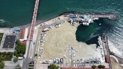 Bakan Kurum duyurdu: Deniz salyası için eylem planı 6 Haziran’da açıklanıyor