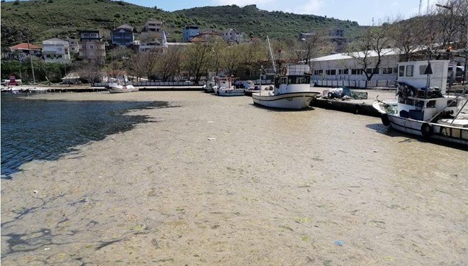 Bilim insanları, müsilaj sorunu için Marmara’ya açıldı