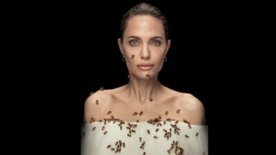 Angelina Jolie, arılar için arılarla objektif karşısında