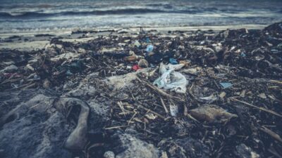Plastik atık kirliliğinden 20 dev şirket sorumlu