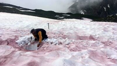 Alpler’e ‘kırmızı kar’ yağdı