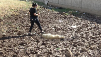 Diyarbakır’da bir köpek boynuna ip bağlanarak öldürüldü