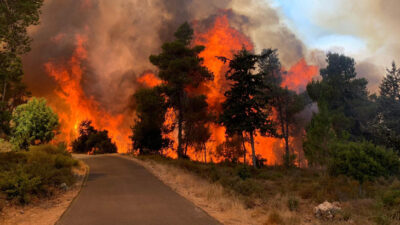 Kudüs’te çıkan yangında 2 bin 650 dönüm arazi kül oldu