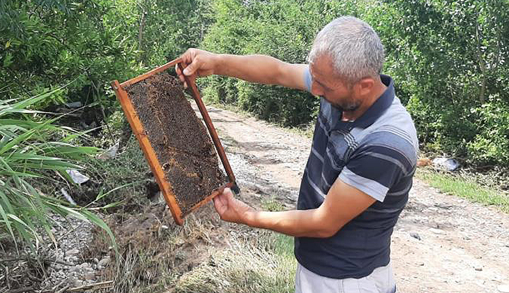 400 kovan arısı sele kapıldı, zararı 1 milyon lira