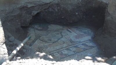 3 bin 500 yıllık mahalledeki kaçak kazıdan mozaik fışkırdı