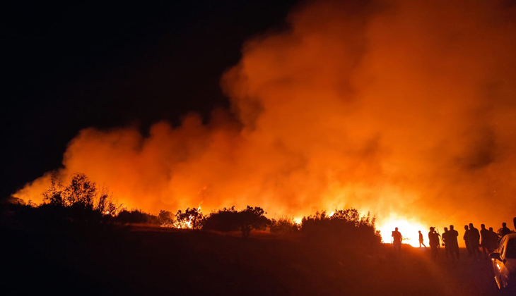 Nizip’te orman yangını: 200 dönüm alan kül oldu