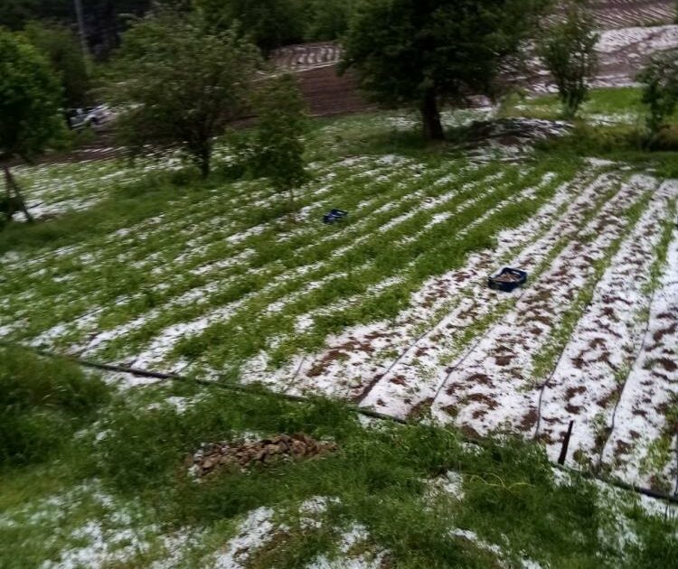 Bursa’da dolu yağışı mahsulleri vurdu