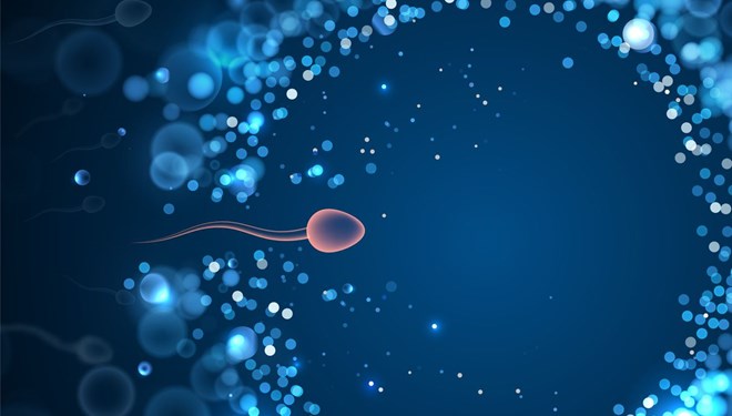 BioNTech aşısı kısırlık yapıyor mu?