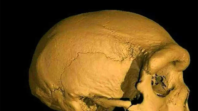 Çin’de modern insana Neandertallerden daha yakın bir tür keşfedildi: ‘Ejderha Adam’