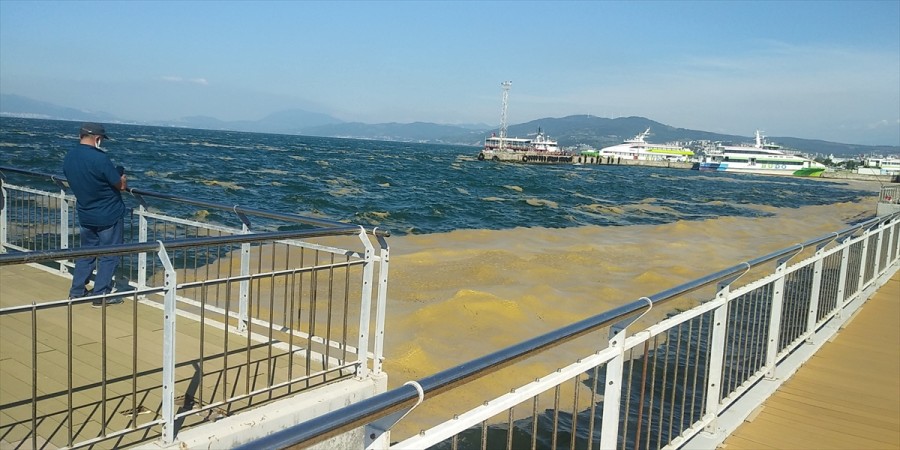 Bursa Mudanya’da müsilaj temizleme çalışmaları devam ediyor