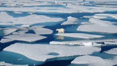 Arktik Denizini kaplayan buz tabakası iki kat hızlı eriyor
