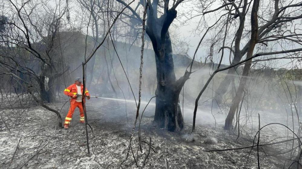 Sardunya Adası’ndaki yangın iki noktada devam ediyor