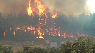 Antalya’da orman yangını: Yaşlı çift ve torunları son anda kurtarıldı