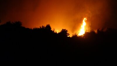 Osmaniye’de yangının ulaştığı köyler boşaltılıyor