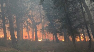 Antalya Manavgat’ta yangın: 3 ölü