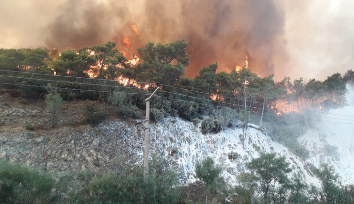 Muğla’da yangın dolayısıyla elektrik kesintileri