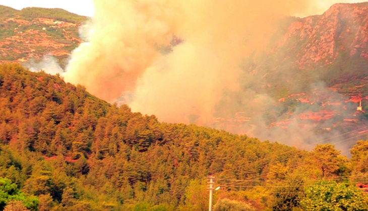 Alanya’da orman yangını kontrol altına alındı